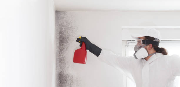 Crawl Space Mold Removal in Lawson, MO